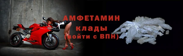 индика Нягань