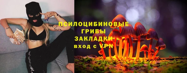 СК Янаул