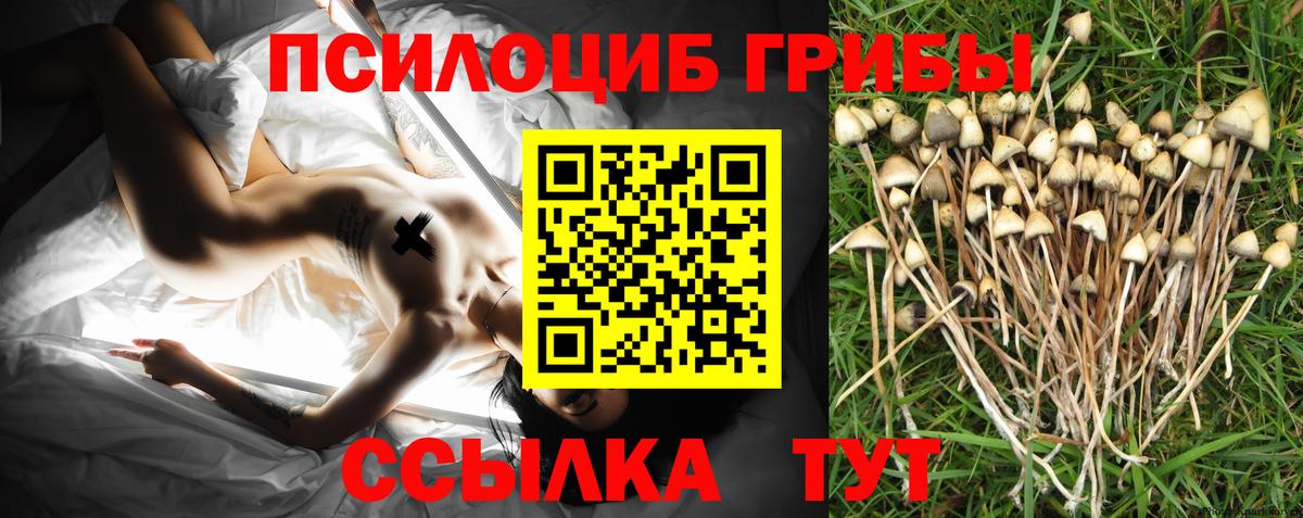 Псилоцибиновые грибы MAGIC MUSHROOMS  Вход с VPN  Похвистнево 